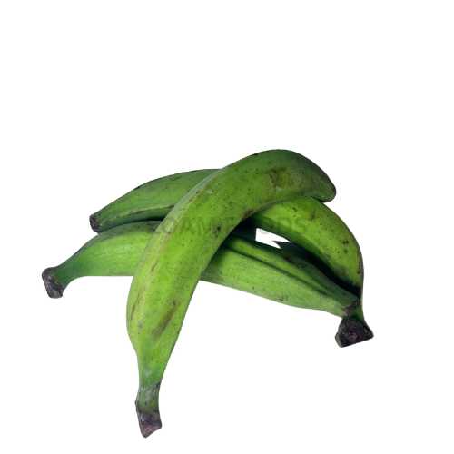 Green Plantain at ZOAM STORES